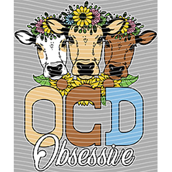 Cow-NIU 2373